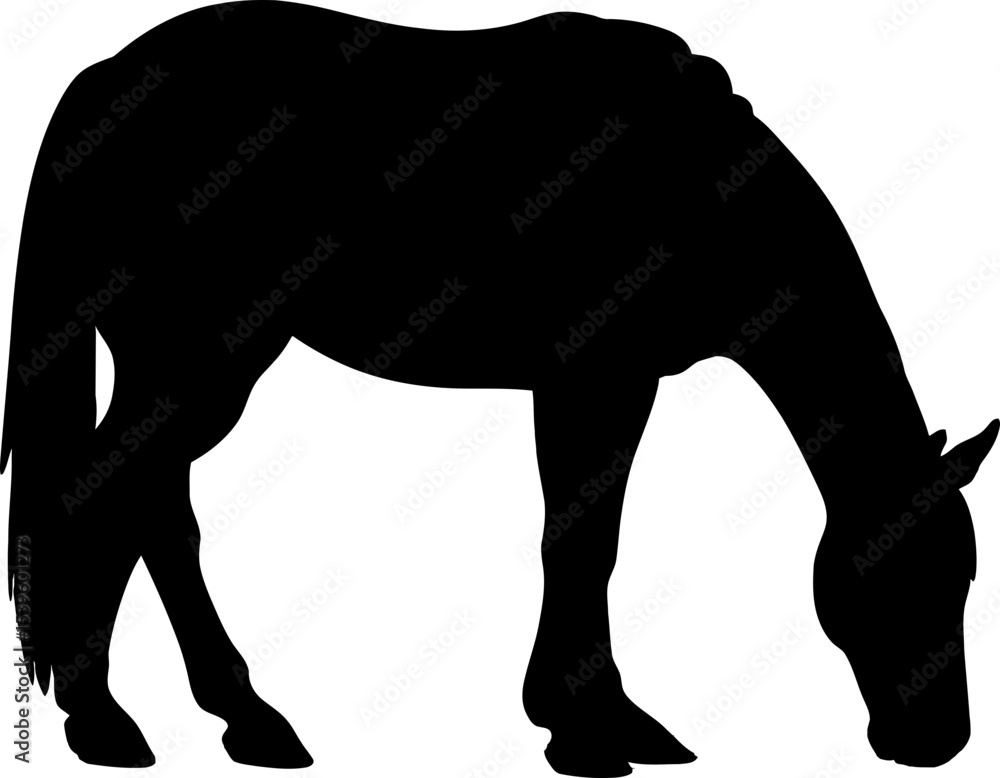 Fototapeta premium Handdrawn horse silhouette