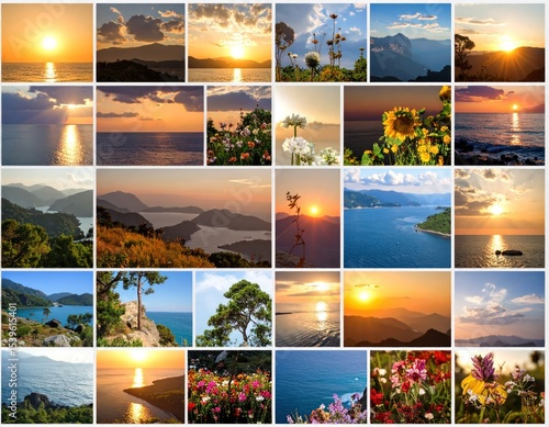 A collage of 36 vibrant, picturesque scenes of a coastal region at sunset.  Diverse landscapes including seascapes, coastlines, hills, flowers, and trees, all bathed in golden, warm light