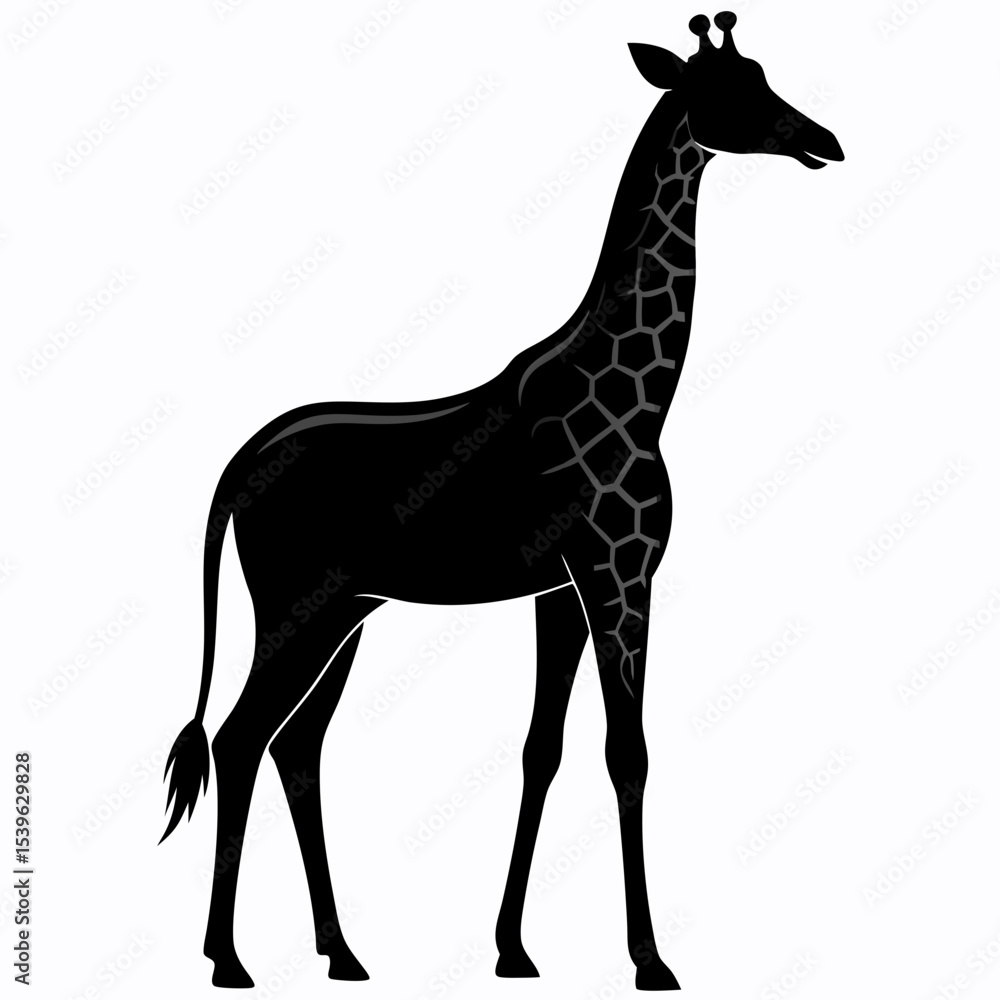 Fototapeta premium Elegant Giraffe Silhouette Vector Illustration