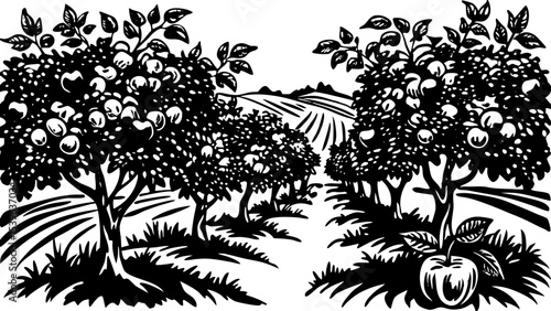 Black and white illustration of an apple orchard with trees and rolling hills in the distance