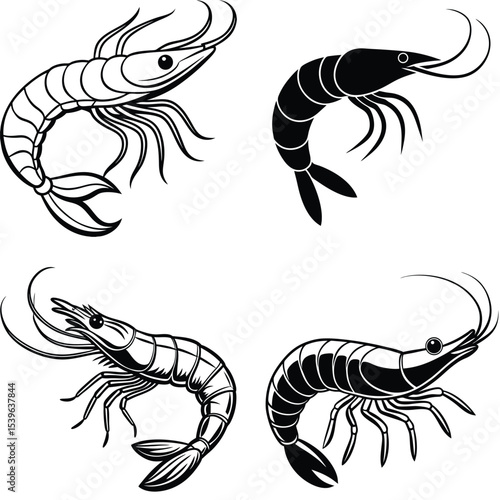 Shrimp Design Vector Set in Black and White