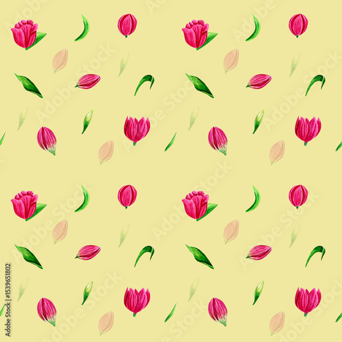 Photography Watercolor spring flower pink tulip