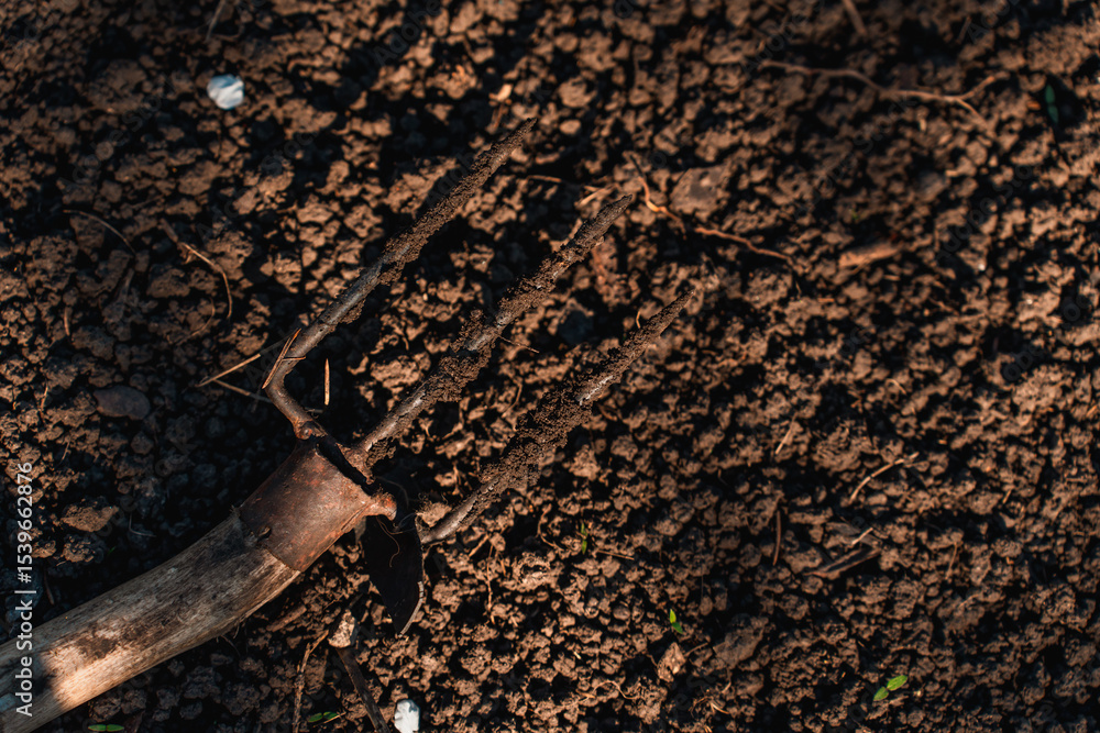 Fototapeta premium A three-pronged garden rake lies on the ground