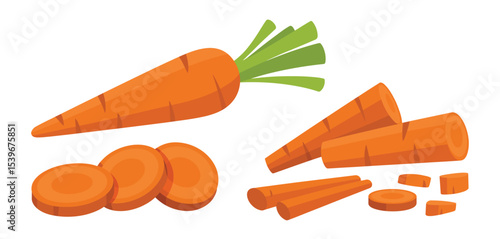 Fresh Carrots Whole Sliced and Chopped Vegetable Illustration