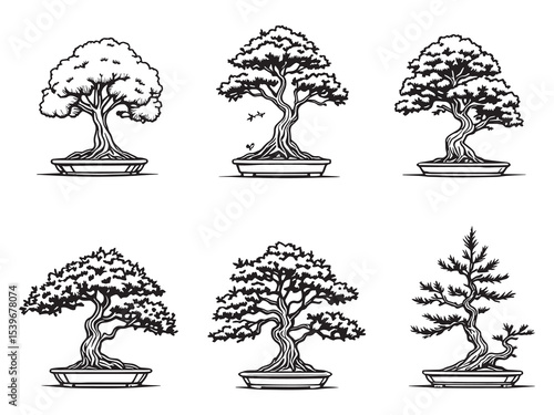 beautiful bonsai tree artistic line art illustration