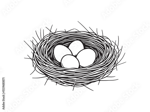 bird nest with eggs simple clean line art vector
