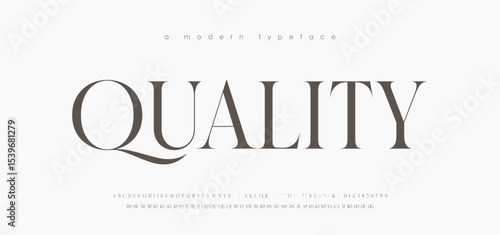 Modern Luxury alphabet letters font. Classic Elegant Modern Serif Lettering Minimal Fashion Logo. Typography decoration fonts for branding, wedding, logos. vector illustration