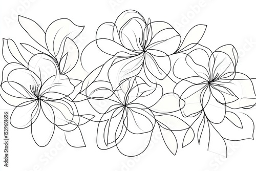 Black line art floral design.