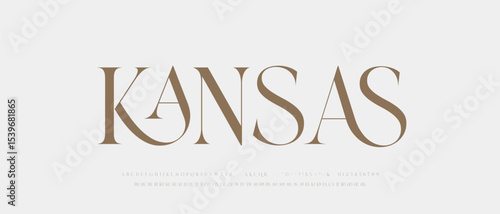 Modern Luxury alphabet letters font. Classic Elegant Modern Serif Lettering Minimal Fashion Logo. Typography decoration fonts for branding, wedding, logos. vector illustration