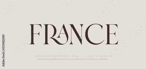 Modern Luxury alphabet letters font. Classic Elegant Modern Serif Lettering Minimal Fashion Logo. Typography decoration fonts for branding, wedding, logos. vector illustration