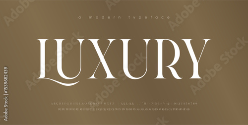 Modern Luxury alphabet letters font. Classic Elegant Modern Serif Lettering Minimal Fashion Logo. Typography decoration fonts for branding, wedding, logos. vector illustration