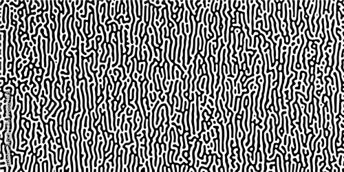 Abstract Turing organic wallpaper background. Linear design with biological shapes. Organic lines in Memphis. 260Turing reaction diffusion monochrome seamless pattern with chaotic motion.