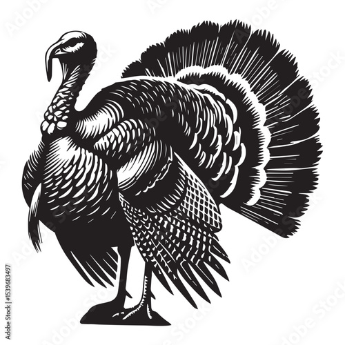 Domestic Turkey Funny Clipart for Animal Lover Gifts and Sublimation

