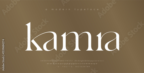 Modern Luxury alphabet letters font. Classic Elegant Modern Serif Lettering Minimal Fashion Logo. Typography decoration fonts for branding, wedding, logos. vector illustration