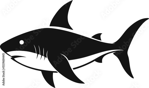 shark vector illustration