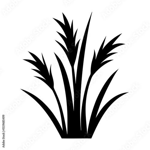 Black silhouette of tall grass and reeds