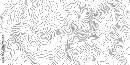Topographic Background. Abstract wavy and curved lines background. Abstract pattern with Lines. Background of the Topographic Map. Abstract geometric topographic contour map background Free Vector
