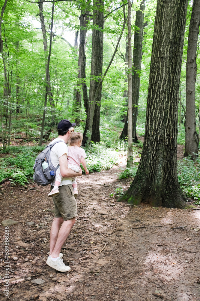 Father carrying toddler daughter on summer hiking path in green forest Father carrying toddler daughter on summer hiking path in green forest