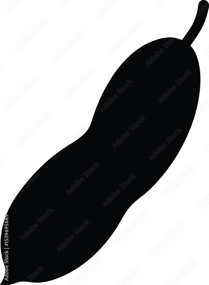 hand drawn vector illustration of a Tamarind hand drawn vector illustration of a Tamarind