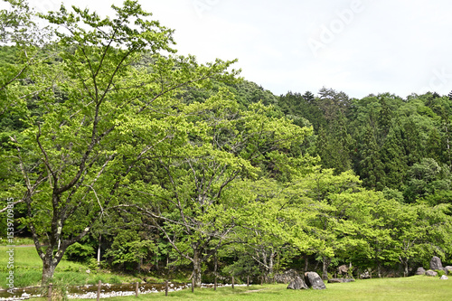 パスカル清見の裏山