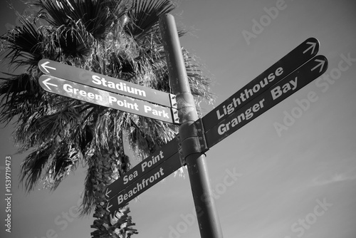Signs leading to different directions in black and white