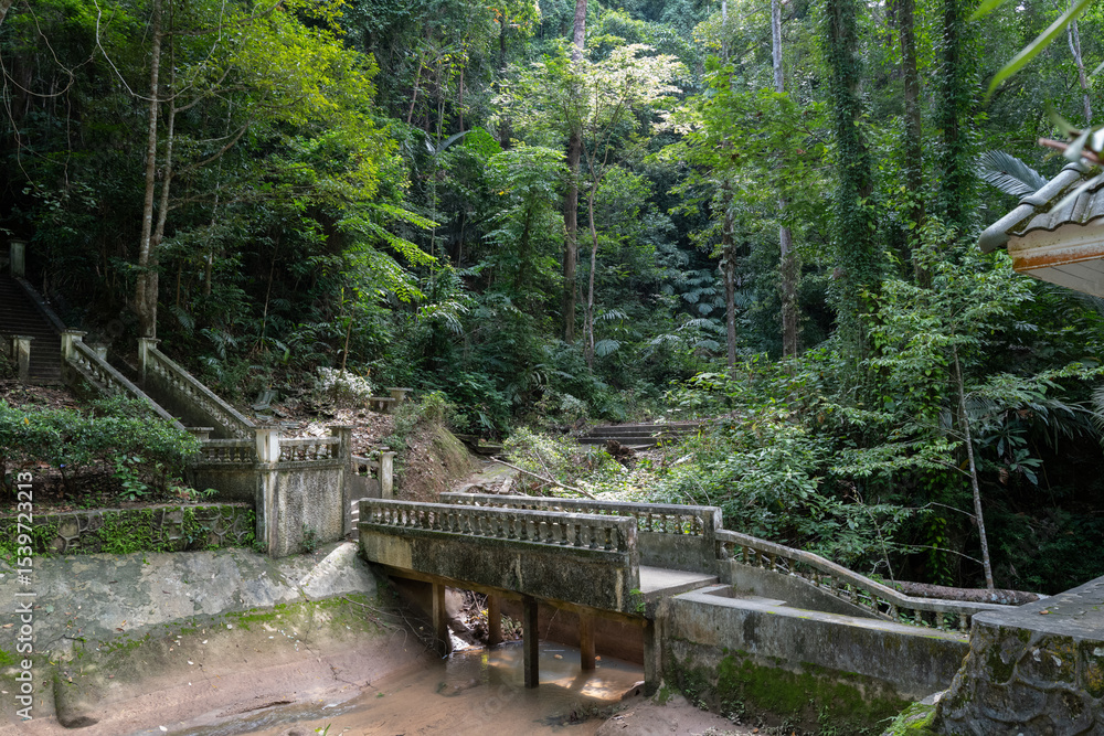 Fototapeta premium Old moss-covered bridge and staircases in dense tropical jungle with a dry creek bed. A mysterious, overgrown setting perfect for themes of abandonment, history, exploration, or cinematic backgrounds.
