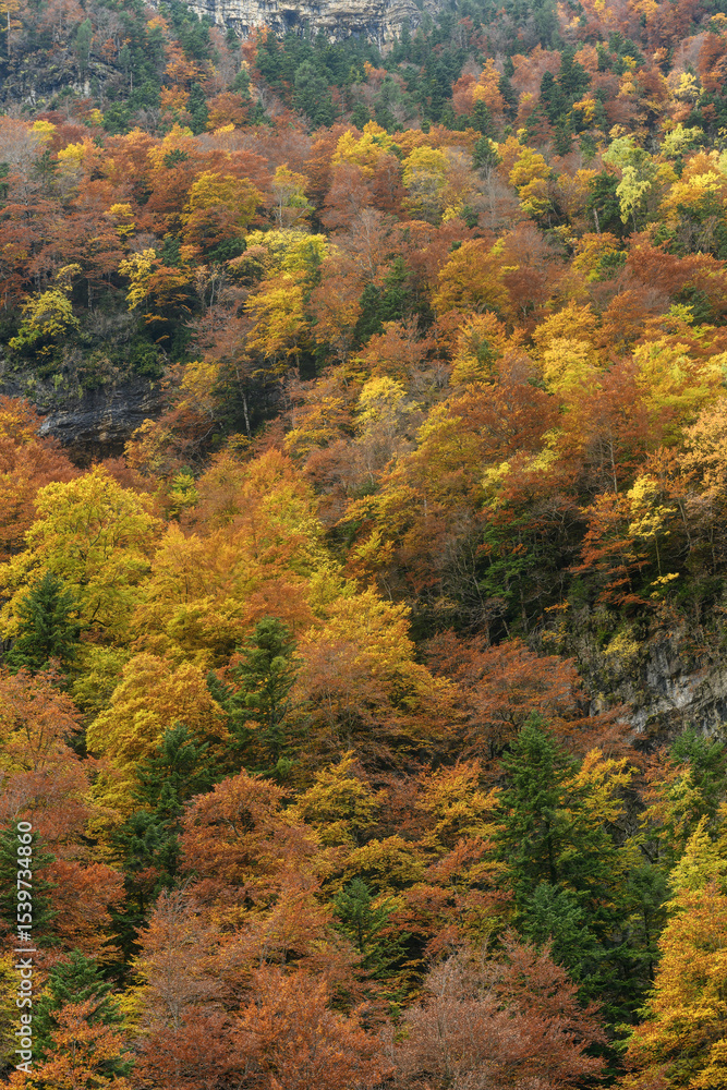 Ordesa and Monte Perdido National Park - Spain Ordesa and Monte Perdido National Park - Spain