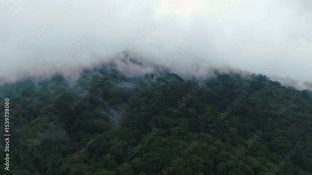Aerial view of dense forest shrouded in morning mist, with fog weaving through trees and rolling hills. Vibrant green foliage contrasts with soft white clouds, creating serene and mystical atmosphere Aerial view of dense forest shrouded in morning mist, with fog weaving through trees and rolling hills. Vibrant green foliage contrasts with soft white clouds, creating serene and mystical atmosphere