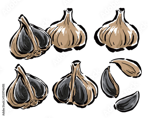 黒にんにく　半分に割った断面・一片など　筆タッチ手描きイラスト