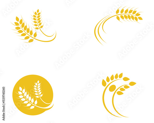 Agriculture wheat Logo Template vector icon design