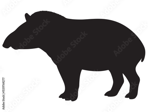 TAPIR SILHOUETTE 