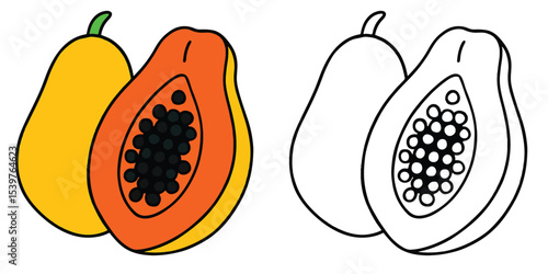 Coloring book of a papaya with seeds showing, on white background outline vector illustration