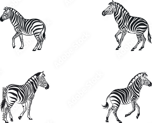 zebras silhouette  vector icon design with white background 