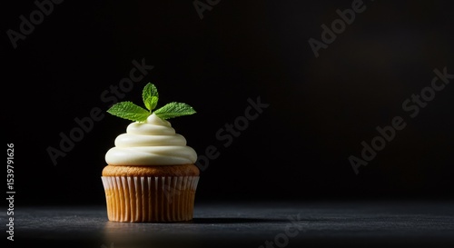 Elegant Vanilla Cupcake with Mint Garnish on Dark Background