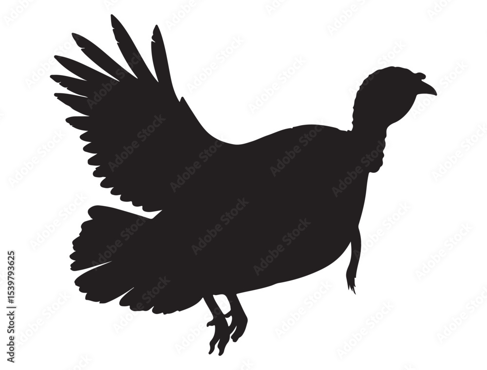 Fototapeta premium TURKEY BIRD SILHOUETTE