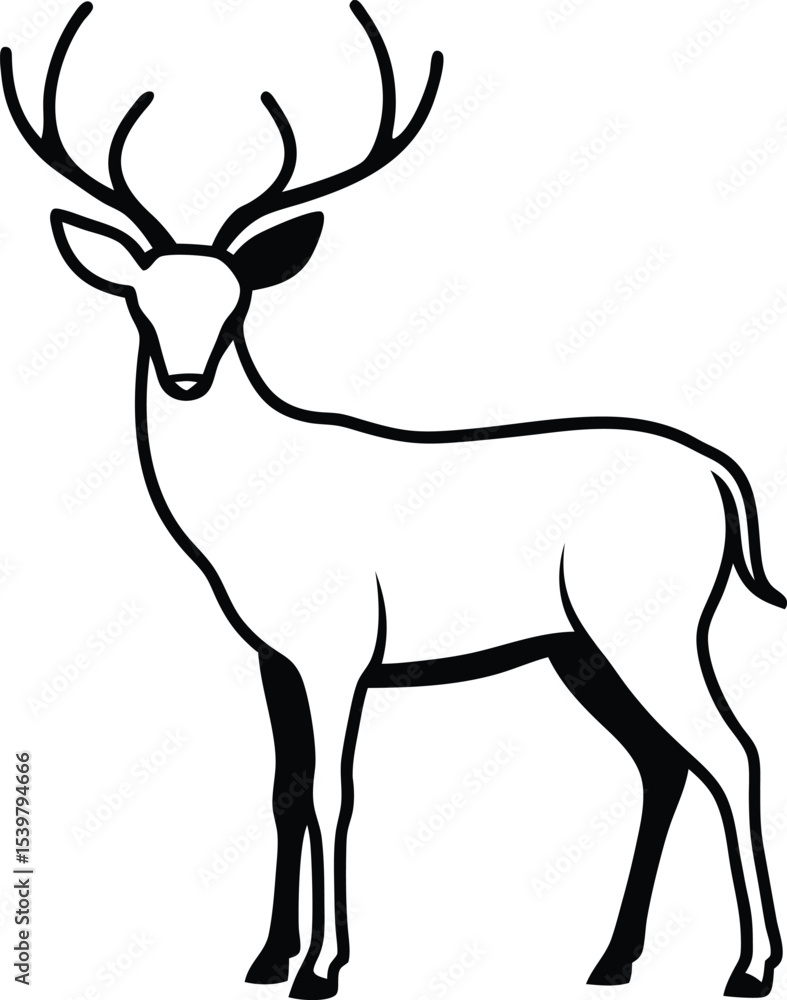 Fototapeta premium silhouette of deer