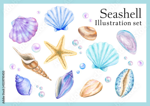 Set of shells and starfish_Watercolor