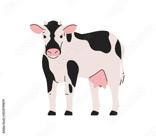 Spotted dairy cow standing, looking. Domestic livestock with black spotty pattern, udder. Farm animal, cattle. Natural organic agriculture. Flat vector illustration isolated on white background