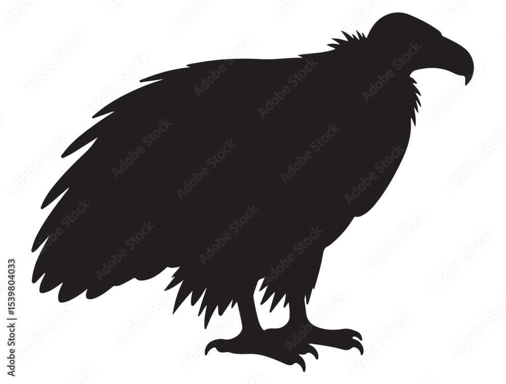 Fototapeta premium VULTURE SILHOUETTE