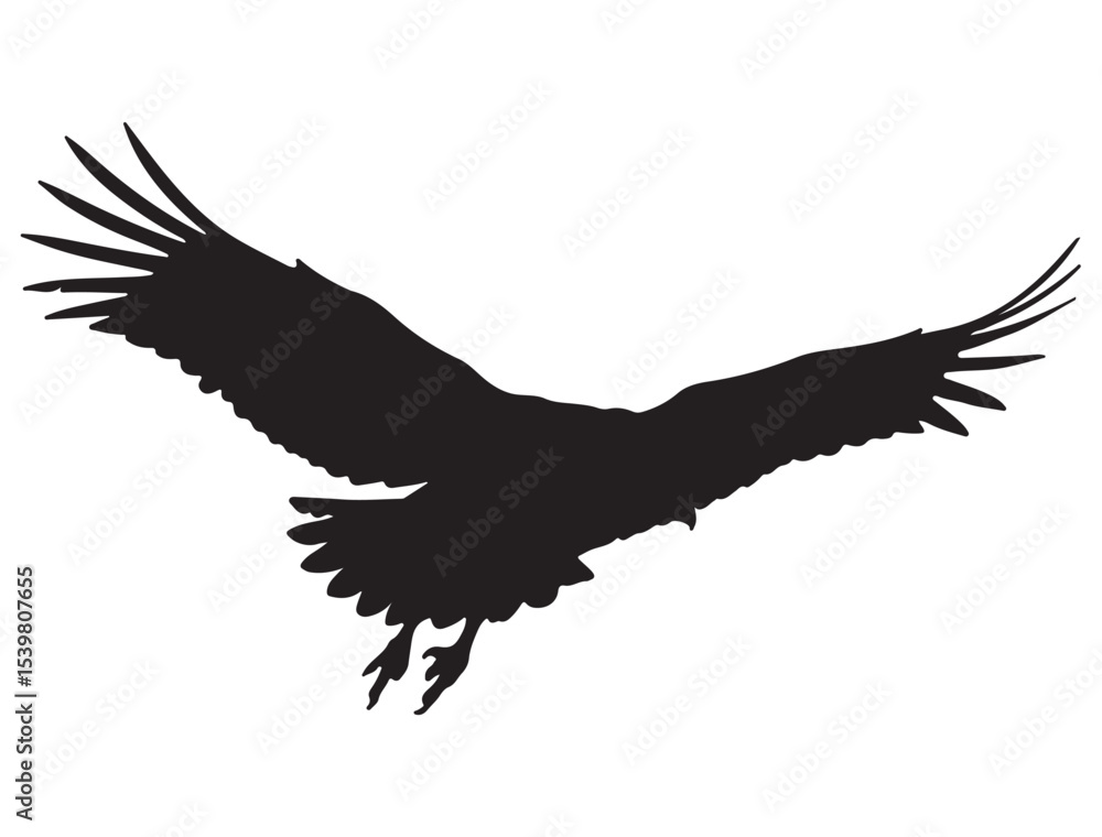 Obraz premium VULTURE SILHOUETTE