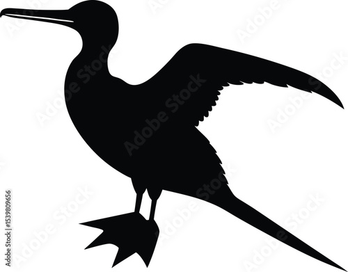 Magnificent Frigatebird silhouette vector art illustration