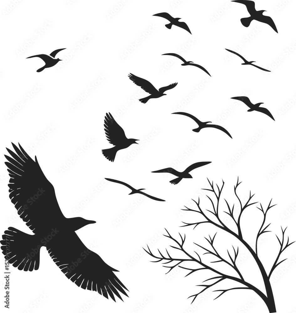 Fototapeta premium set of birds