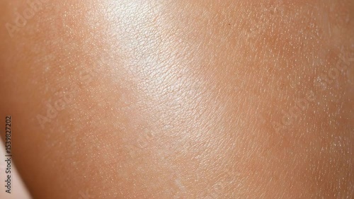 A close-up view of smooth skin with a natural texture and sheen.