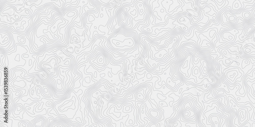 modern wavey contour out map line topography white and grey curved line white background. 