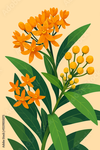 The image features a stylized, digital illustration of Asclepias curassavica, commonly known as Tropical Milkweed or Scarlet Milkweed. The plant is shown in full bloom with clusters of vibrant orange 