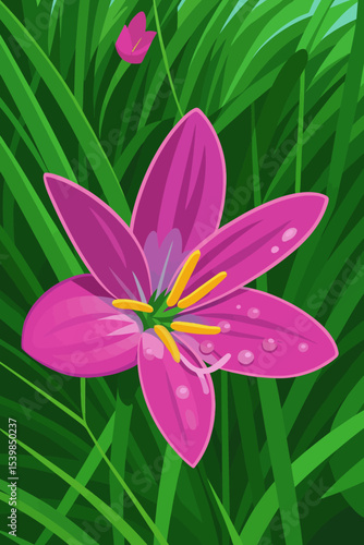 This image depicts a vibrant illustration of a Rain Lily (Zephyranthes), known in Thai as ดอกบัวดิน. The flower is shown with six vivid pink petals, accented with delicate shading and water droplets t