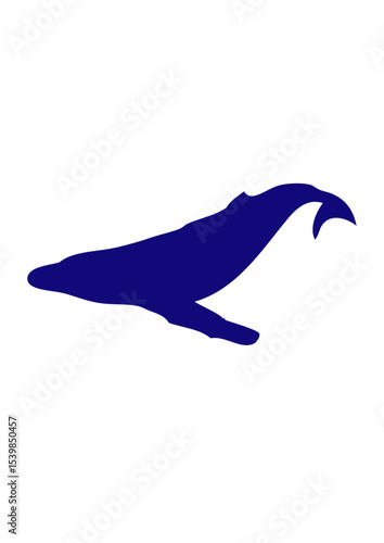 baleine dessin