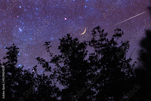 Crescent young Moon with stars, planets and rural countryside tree silhouettes.