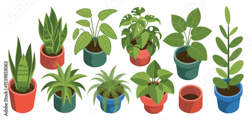 Collection of houseplants in colorful pots