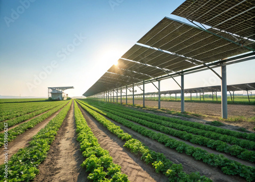 Combining Solar Power with Agriculture: Future of Farming